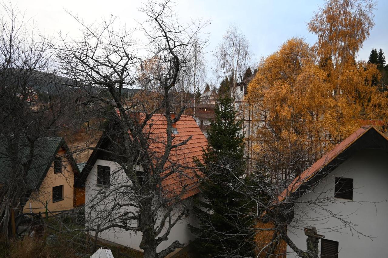 Apartman Vukasin Kopaonik Extérieur photo