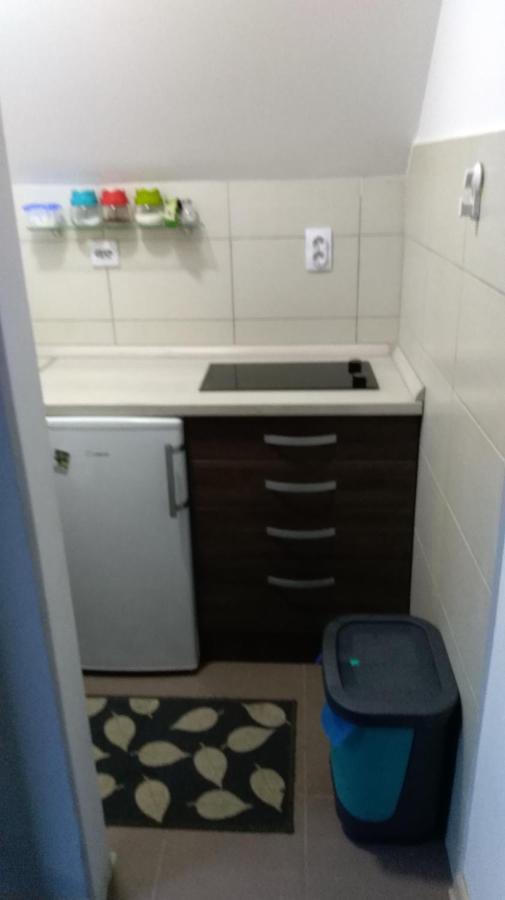 Apartman Vukasin Kopaonik Extérieur photo